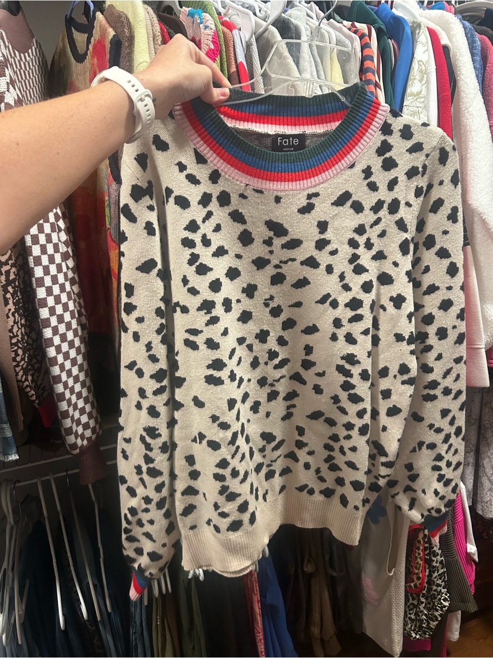 Fate Cream Leopard Print Sweater with Pink Blue Green Trim